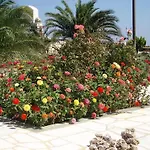 Fyrogenis Palace Aparthotel 2*