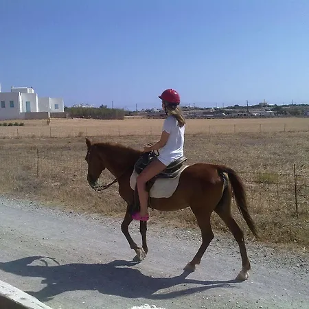 Fyrogenis Palace Lejlighedshotel 2*