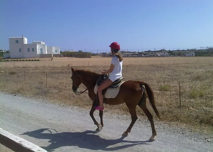 Fyrogenis Palace Lägenhetshotell 2*